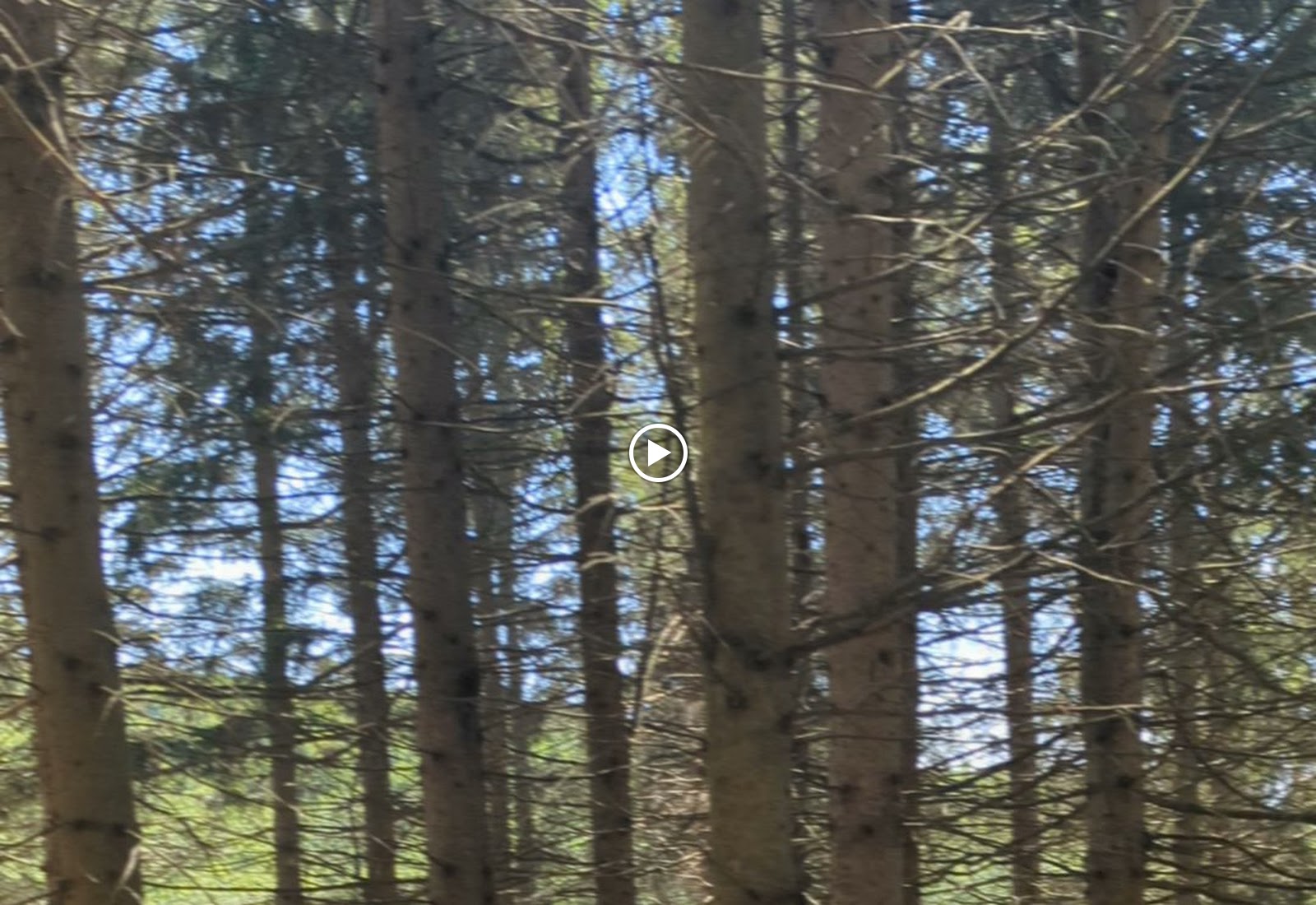 Real event photo from the shared album
